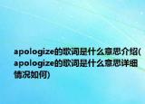 apologize的歌詞是什么意思介紹(apologize的歌詞是什么意思詳細(xì)情況如何)