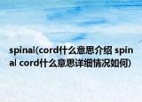 spinal(cord什么意思介紹 spinal cord什么意思詳細(xì)情況如何)