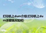 打印機上dum介紹(打印機上dum詳細(xì)情況如何)