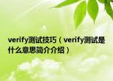 verify測試技巧（verify測試是什么意思簡介介紹）