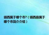 靖西屬于哪個(gè)市?（靖西縣屬于哪個(gè)市簡介介紹）