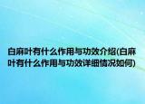 白麻葉有什么作用與功效介紹(白麻葉有什么作用與功效詳細(xì)情況如何)