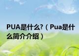 PUA是什么?（Pua是什么簡介介紹）