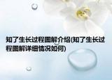 知了生長過程圖解介紹(知了生長過程圖解詳細情況如何)