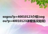 sogou?p=40010123介紹(sogou?p=40010123詳細(xì)情況如何)