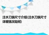 注水刀旗尺寸介紹(注水刀旗尺寸詳細(xì)情況如何)