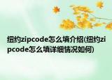 紐約zipcode怎么填介紹(紐約zipcode怎么填詳細(xì)情況如何)