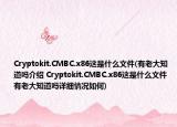 Cryptokit.CMBC.x86這是什么文件(有老大知道嗎介紹 Cryptokit.CMBC.x86這是什么文件 有老大知道嗎詳細(xì)情況如何)