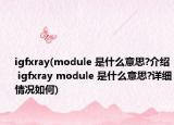 igfxray(module 是什么意思?介紹 igfxray module 是什么意思?詳細(xì)情況如何)