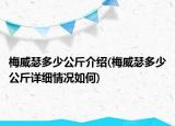 梅威瑟多少公斤介紹(梅威瑟多少公斤詳細(xì)情況如何)