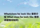 What(does he look like 意思介紹 What does he look like 意思詳細情況如何)