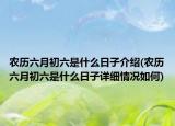 農(nóng)歷六月初六是什么日子介紹(農(nóng)歷六月初六是什么日子詳細情況如何)