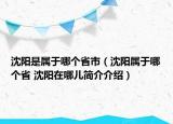 沈陽是屬于哪個省市（沈陽屬于哪個省 沈陽在哪兒簡介介紹）