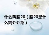 什么叫脂20（脂20是什么簡介介紹）