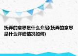 撫弄的意思是什么介紹(撫弄的意思是什么詳細(xì)情況如何)