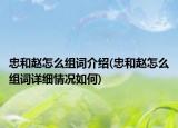 忠和趙怎么組詞介紹(忠和趙怎么組詞詳細(xì)情況如何)