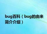 bug百科（bug的由來簡介介紹）