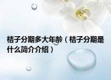 桔子分期多大年齡（桔子分期是什么簡(jiǎn)介介紹）