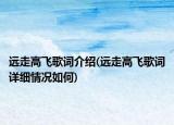 遠走高飛歌詞介紹(遠走高飛歌詞詳細情況如何)