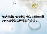 雅詩蘭黛anr精華是什么（雅詩蘭黛ANR精華怎么樣呢簡介介紹）