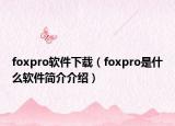 foxpro軟件下載（foxpro是什么軟件簡(jiǎn)介介紹）