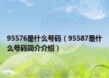 95576是什么號(hào)碼（95587是什么號(hào)碼簡(jiǎn)介介紹）