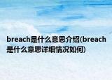 breach是什么意思介紹(breach是什么意思詳細情況如何)