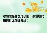 冰墩墩是什么樣子的（冰墩墩代表著什么簡介介紹）