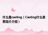 什么是casting（Casting什么意思簡介介紹）