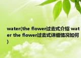 water(the flower過去式介紹 water the flower過去式詳細(xì)情況如何)