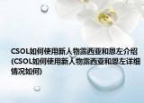 CSOL如何使用新人物露西亞和恩左介紹(CSOL如何使用新人物露西亞和恩左詳細(xì)情況如何)