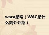 waca是啥（WAC是什么簡(jiǎn)介介紹）