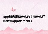 app銷售是做什么的（有什么好的銷售app簡(jiǎn)介介紹）