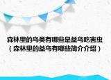 森林里的鳥類有哪些是益鳥吃害蟲（森林里的益鳥有哪些簡介介紹）