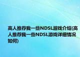 高人推薦我一些NDSL游戲介紹(高人推薦我一些NDSL游戲詳細(xì)情況如何)