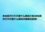 誅仙雙開打不開是什么原因介紹(誅仙雙開打不開是什么原因詳細(xì)情況如何)