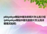 pkbyebye網(wǎng)站中朋友的照片怎么找介紹(pkbyebye網(wǎng)站中朋友的照片怎么找詳細(xì)情況如何)