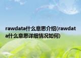 rawdata什么意思介紹(rawdata什么意思詳細(xì)情況如何)