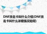 DNF改名卡叫什么介紹(DNF改名卡叫什么詳細(xì)情況如何)