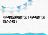 igbt的全稱是什么（igbt是什么簡(jiǎn)介介紹）