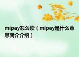 mipay怎么讀（mipay是什么意思簡介介紹）