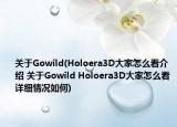 關(guān)于Gowild(Holoera3D大家怎么看介紹 關(guān)于Gowild Holoera3D大家怎么看詳細情況如何)