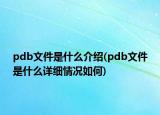 pdb文件是什么介紹(pdb文件是什么詳細情況如何)