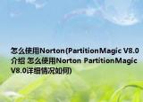 怎么使用Norton(PartitionMagic V8.0介紹 怎么使用Norton PartitionMagic V8.0詳細情況如何)