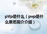 pVp是什么（pvp是什么意思簡(jiǎn)介介紹）