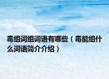 毒組詞組詞語有哪些（毒能組什么詞語簡(jiǎn)介介紹）