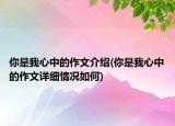 你是我心中的作文介紹(你是我心中的作文詳細(xì)情況如何)