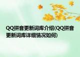 QQ拼音更新詞庫(kù)介紹(QQ拼音更新詞庫(kù)詳細(xì)情況如何)