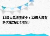 12級大風(fēng)速度多少（12級大風(fēng)有多大威力簡介介紹）