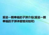 愛是一顆幸福的子彈介紹(愛是一顆幸福的子彈詳細情況如何)